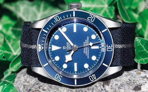 石家莊帝舵手表維修中心(帝舵手表游絲斷裂)